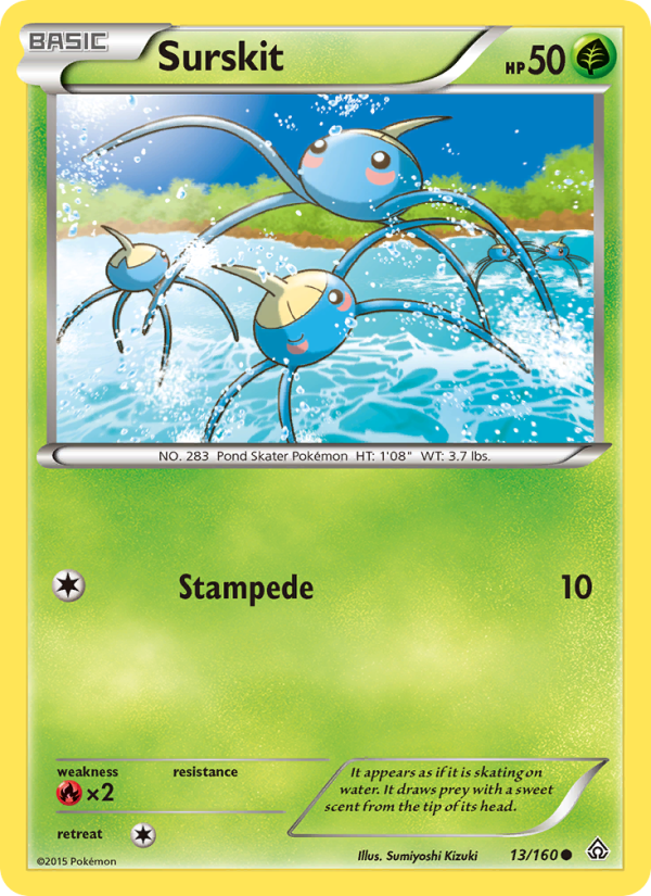 xy5-13